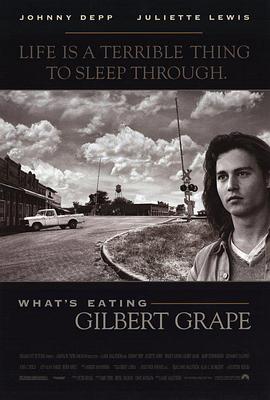 巴巴影视《不一样的天空 What's Eating Gilbert Grape》免费在线观看