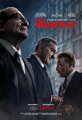 巴巴影视《爱尔兰人 The Irishman》免费在线观看