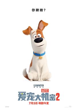 巴巴影视《爱宠大机密2 The Secret Life of Pets 2》免费在线观看