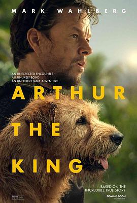 巴巴影视《冠军亚瑟 Arthur the King》免费在线观看