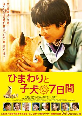 巴巴影视《向日葵与幼犬的7天 ひまわりと子犬の7日間》免费在线观看