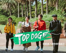 巴巴影视《TOP DOG》免费在线观看