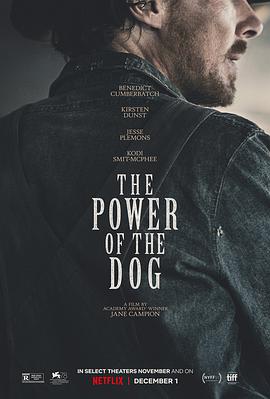 巴巴影视《犬之力 The Power of the Dog》免费在线观看