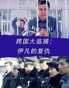 巴巴影视《跨国大追捕：伊凡的复仇》免费在线观看